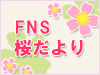 FNS桜だより